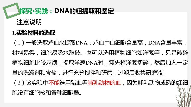 3.1.3 DNA的粗提取和鉴定 课件 高中生物新苏教版选择性必修3第8页