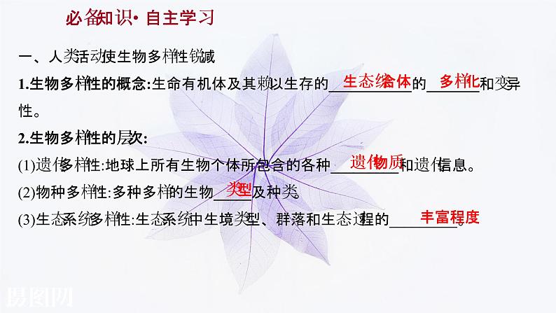 第四章 第三节保护生物多样性意义重大 课件(47张) 2021-2022学年高中生物新浙科版(2019)选择性必修203
