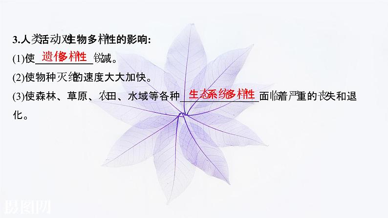 第四章 第三节保护生物多样性意义重大 课件(47张) 2021-2022学年高中生物新浙科版(2019)选择性必修204