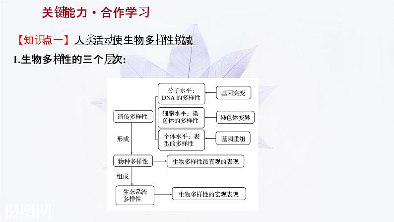 第四章 第三节保护生物多样性意义重大 课件(47张) 2021-2022学年高中生物新浙科版(2019)选择性必修208
