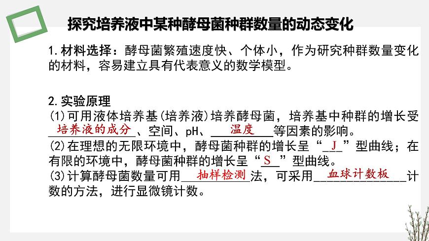 1.1.3   探究培養(yǎng)液中某種酵母菌種群數(shù)量的動(dòng)態(tài)變化 課件 高中生物新蘇教版選擇性必修2（20第4頁(yè)