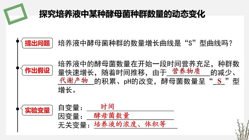 1.1.3   探究培養(yǎng)液中某種酵母菌種群數(shù)量的動(dòng)態(tài)變化 課件 高中生物新蘇教版選擇性必修2（20第5頁(yè)