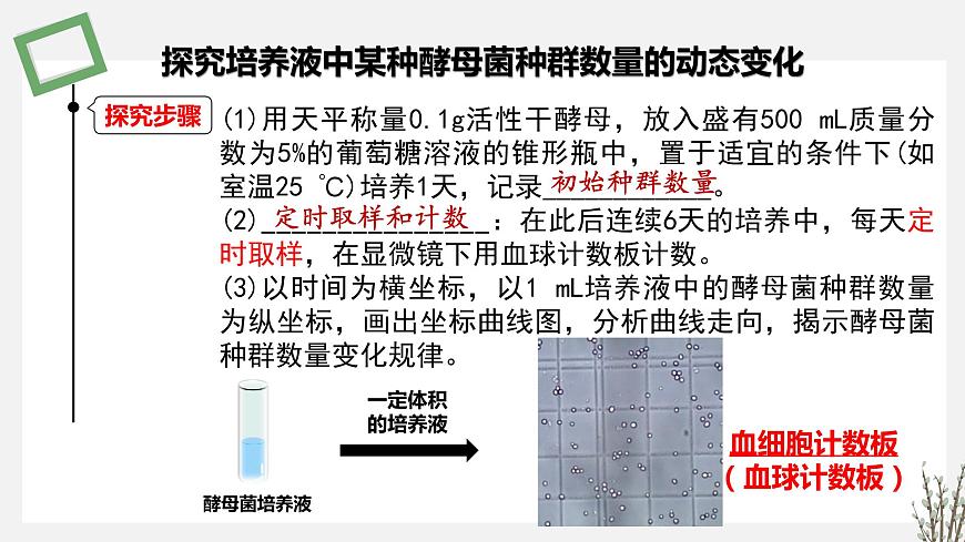 1.1.3   探究培養(yǎng)液中某種酵母菌種群數(shù)量的動(dòng)態(tài)變化 課件 高中生物新蘇教版選擇性必修2（20第6頁(yè)