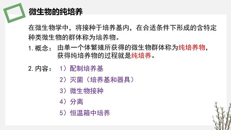 1.2.2 微生物分离、纯化和培养的无菌技术 课件 高中生物新苏教版选择性必修3第3页