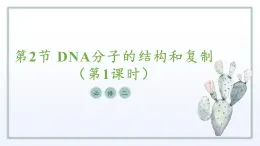 2.2 DNA分子的结构和复制（第1课时）课件 高中生物新苏教版必修2