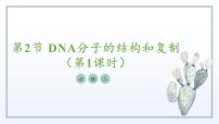 苏教版 (2019)必修2《遗传与进化》DNA分子的双螺旋结构模型多媒体教学课件ppt