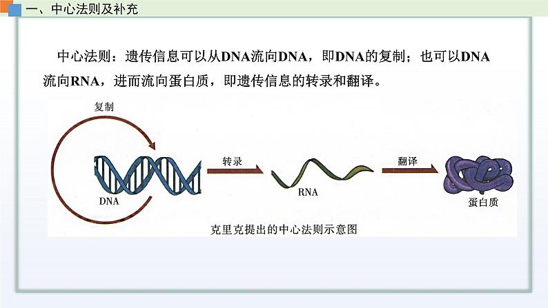 2.3 遗传信息控制生物的性状(第3课时)课件 高中生物新苏教版必修203