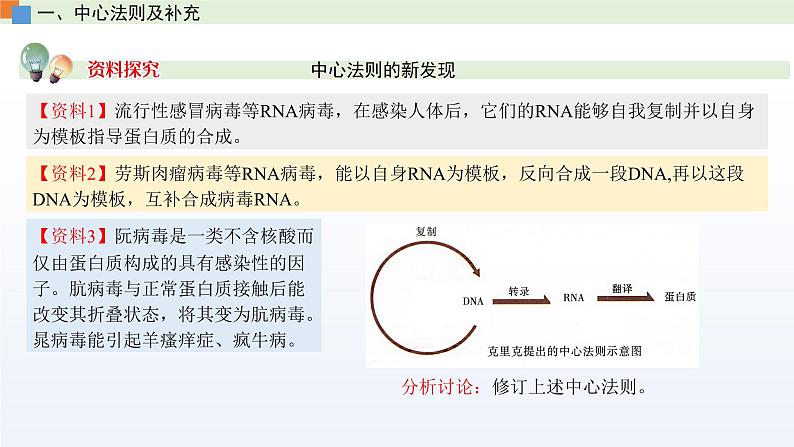2.3 遗传信息控制生物的性状(第3课时)课件 高中生物新苏教版必修204