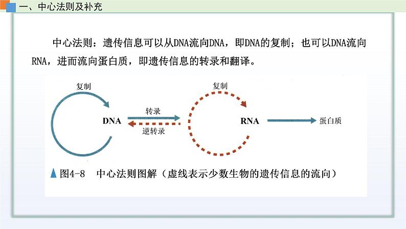 2.3 遗传信息控制生物的性状(第3课时)课件 高中生物新苏教版必修205