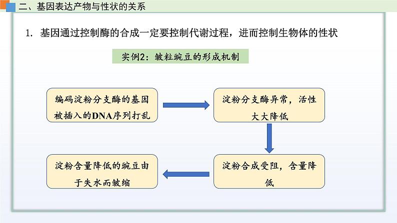 2.3 遗传信息控制生物的性状(第3课时)课件 高中生物新苏教版必修207
