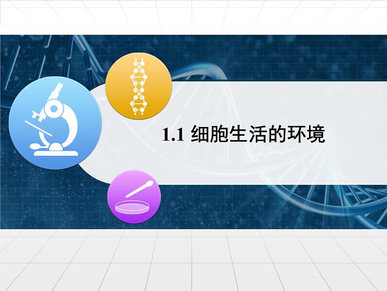 人教版(2019)选择性必修一第1章1.1细胞生活的环境第1页