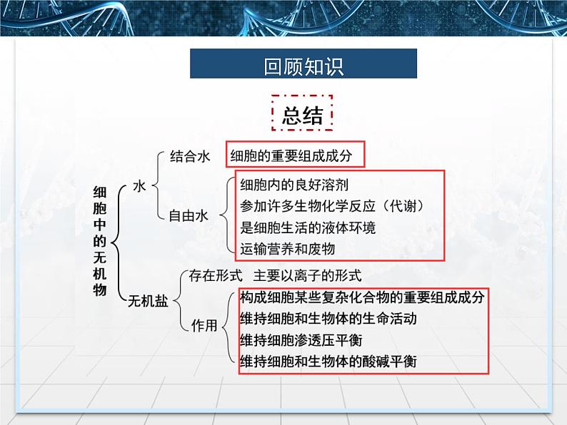 人教版(2019)选择性必修一第1章1.1细胞生活的环境第2页