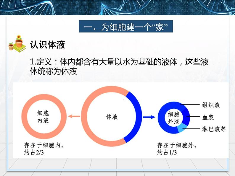 人教版(2019)选择性必修一第1章1.1细胞生活的环境第6页