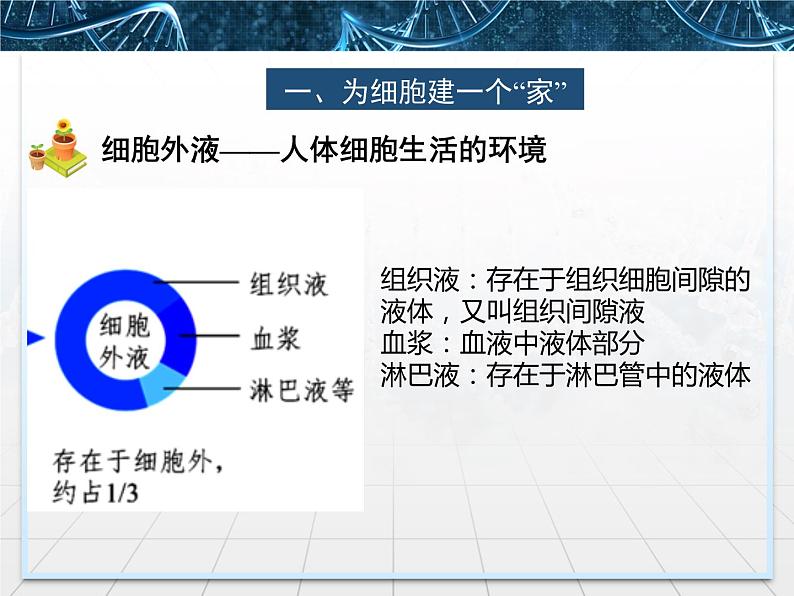 人教版(2019)选择性必修一第1章1.1细胞生活的环境第7页