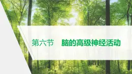 选择性必修1 脑的高级神经活动 （25张） 课件-高中生物新北师大版选择性必修1