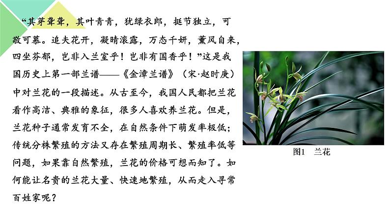 2.1.1 植物细胞工程 课件 高中生物新人教版选择性必修3第5页