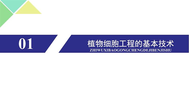 2.1.1 植物细胞工程 课件 高中生物新人教版选择性必修3第6页