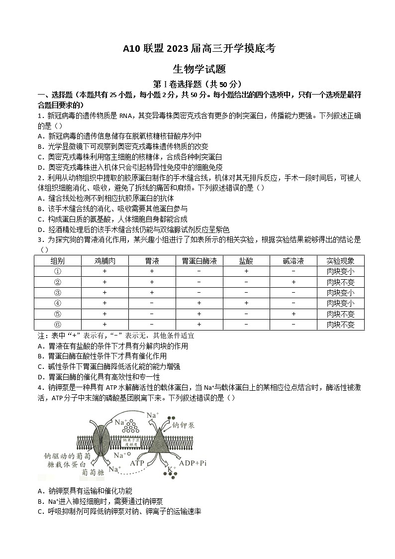2023届安徽省合肥六中A10联盟高三上学期开学考试生物01
