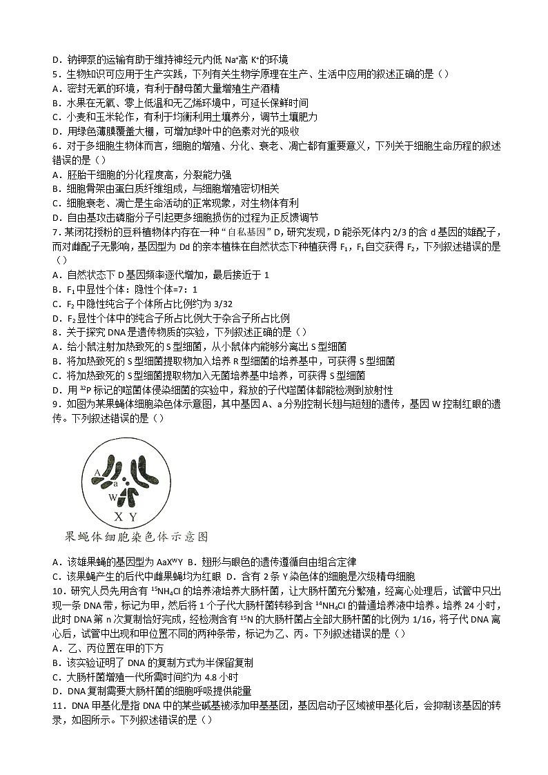 2023届安徽省合肥六中A10联盟高三上学期开学考试生物02