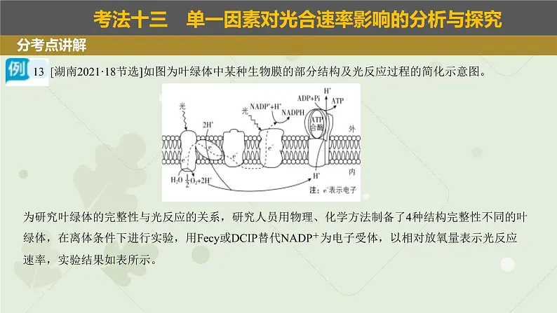 2023届高三生物一轮专题复习课件：光合作用的影响因素及应用03