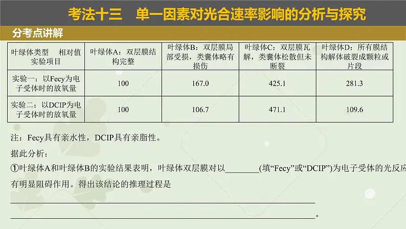 2023届高三生物一轮专题复习课件：光合作用的影响因素及应用04