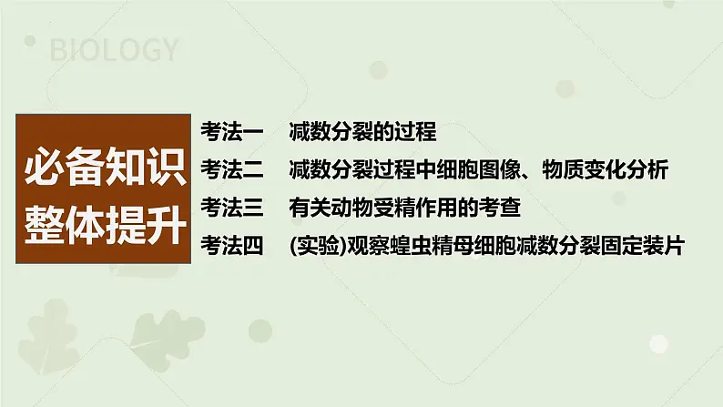 2023届高三生物一轮复习课件：减数分裂和受精作用02