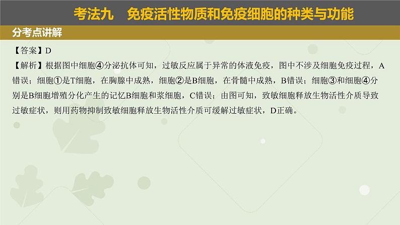 2023届高三生物一轮复习课件:免疫调节07