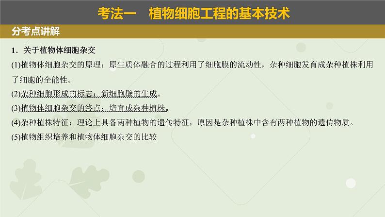 2023届高考生物一轮专题复习课件:植物细胞工程第2页