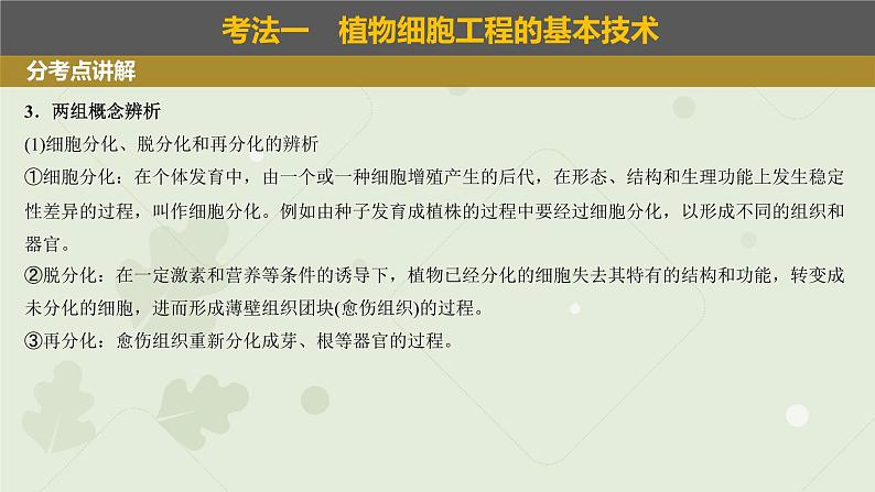 2023届高考生物一轮专题复习课件:植物细胞工程第5页