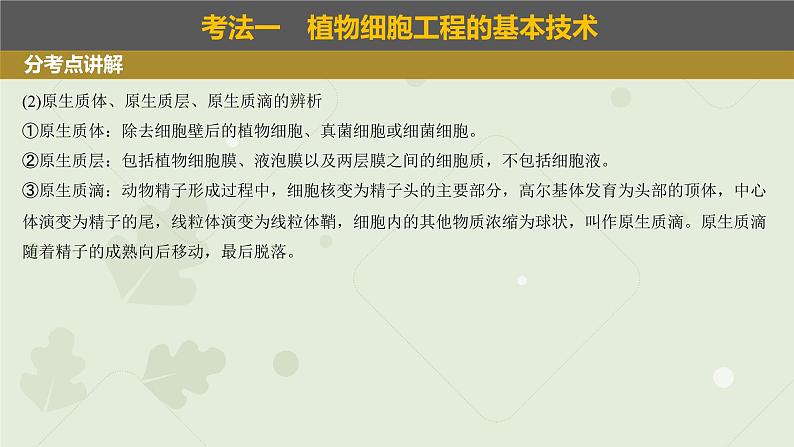 2023届高考生物一轮专题复习课件:植物细胞工程第6页