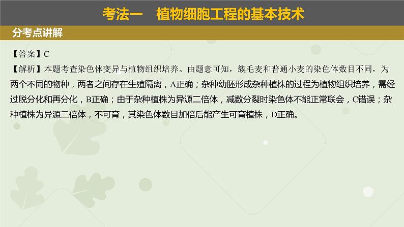2023届高考生物一轮专题复习课件:植物细胞工程第8页