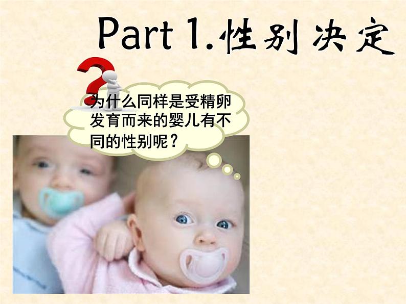2022届高三生物一轮复习课件:伴性遗传第2页