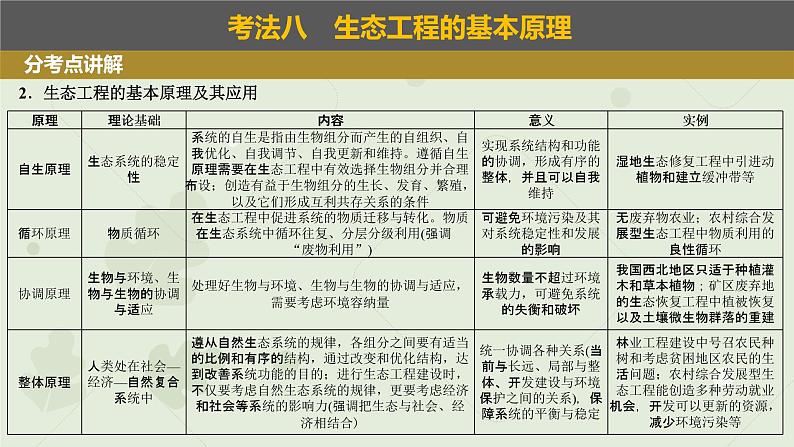 2023届高考生物一轮专题复习课件:生态工程第4页