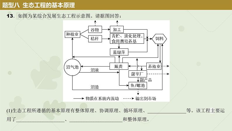 2023届高考生物一轮专题复习课件:生态工程第8页