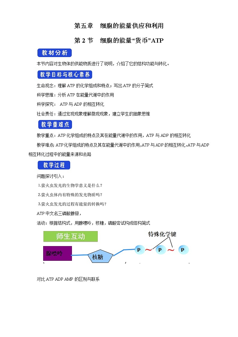 高中生物人教版必修一5.2细胞的能量“通货”ATP教案01