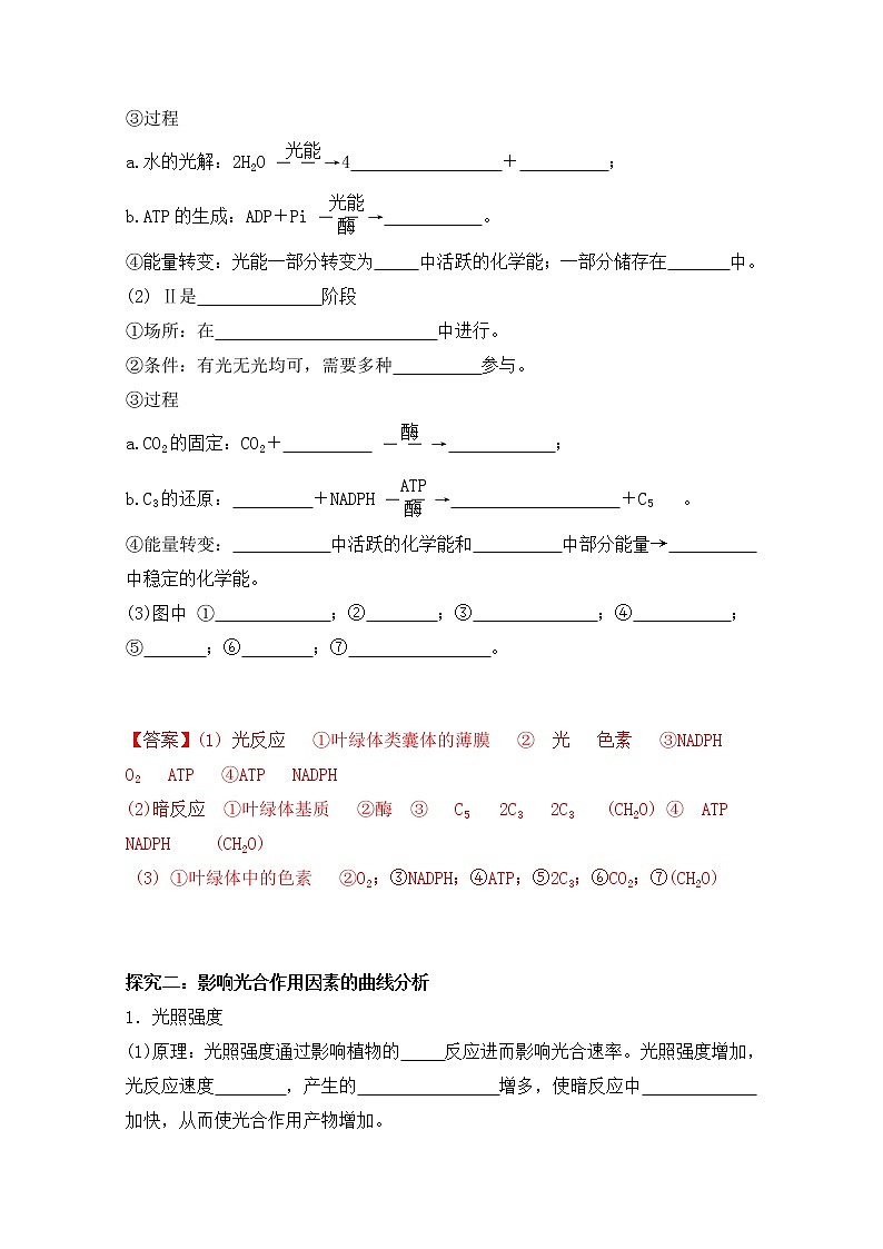 高中生物人教版必修一5.4.2光合作用的过程及原理的应用学案第3页