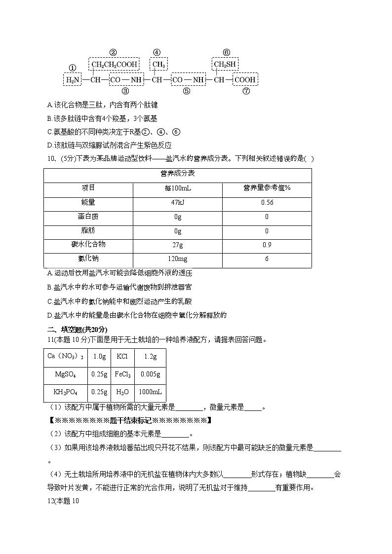 2022-2023学年北师大版(2019)必修一第三章 细胞的物质基础 单元测试卷(word版含答案)第3页