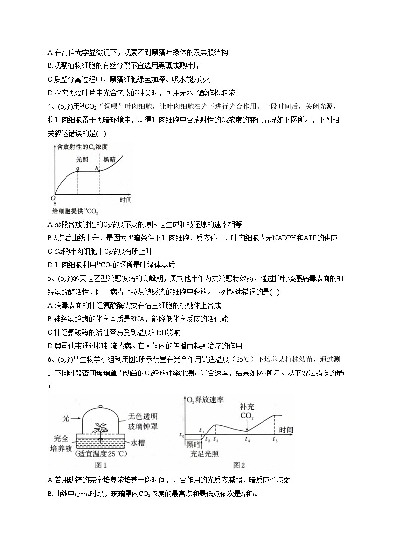 2022-2023学年北师大版(2019)必修一第四章 细胞的的代谢   单元测试卷(word版含答案)第2页