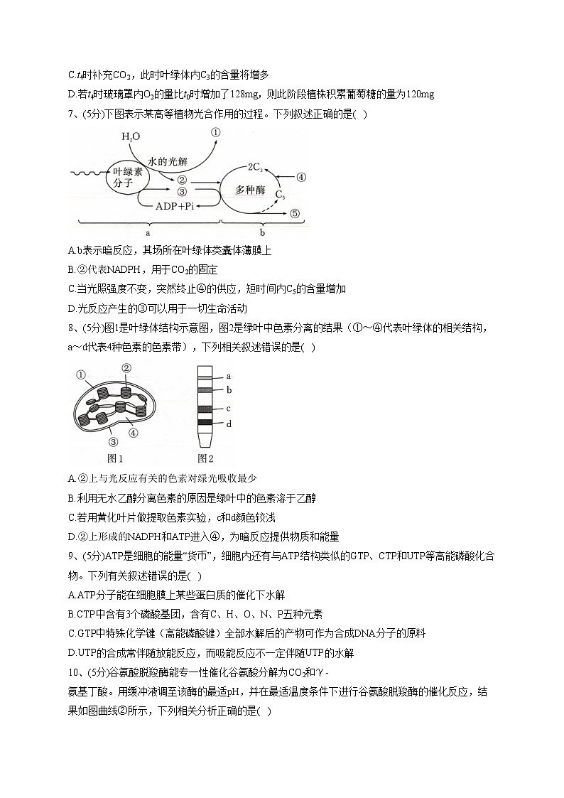 2022-2023学年北师大版(2019)必修一第四章 细胞的的代谢   单元测试卷(word版含答案)第3页