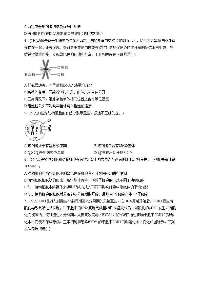 2022-2023学年北师大版（2019）必修一第五章 细胞的生命历程   单元测试卷(word版含答案)02