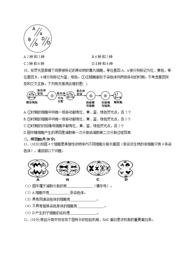 2022-2023学年北师大版（2019）必修二第3章 遗传信息在亲子代之间传递  单元测试卷(word版含答案)03