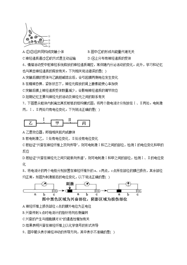 2022-2023学年北师大版(2019)选择性必修一第2章 机体稳态的神经调节  单元测试卷(word版含答案)第2页