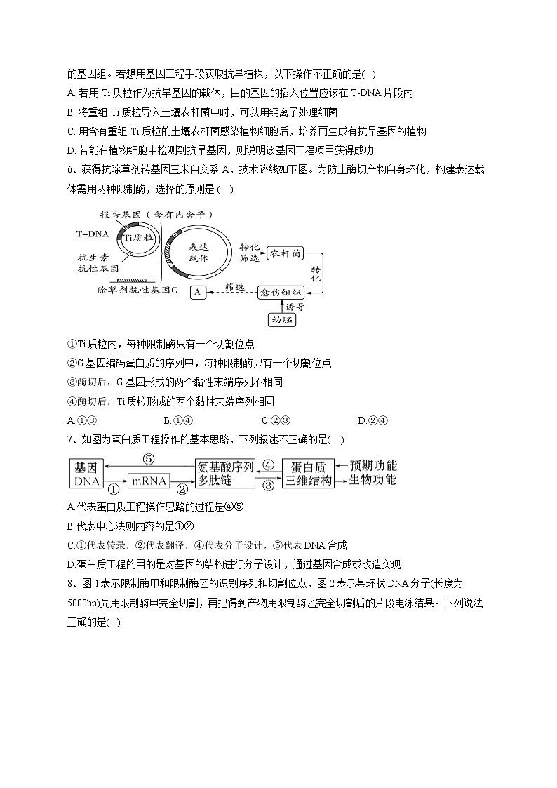 2022-2023学年北师大版(2019)选择性必修三第3章 基因工程 单元测试卷(word版含答案)02
