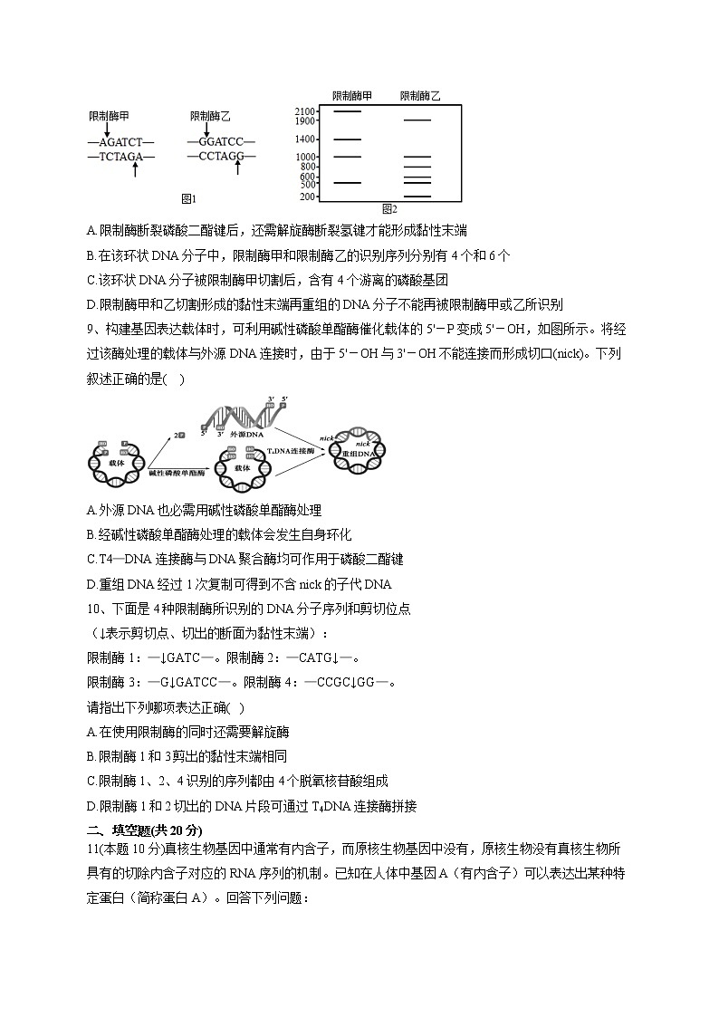 2022-2023学年北师大版(2019)选择性必修三第3章 基因工程 单元测试卷(word版含答案)03