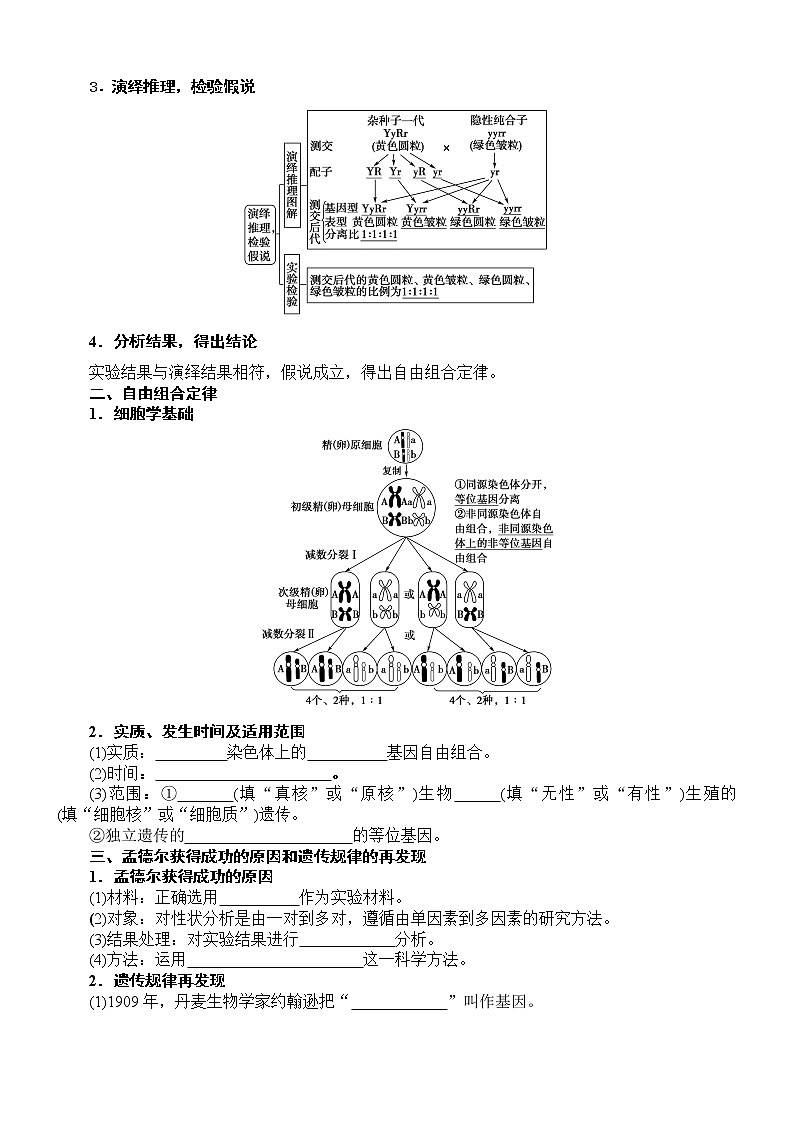 山東省2023屆高三生物一輪復(fù)習(xí) 第15講    考點(diǎn)一 兩對(duì)相對(duì)性狀的遺傳實(shí)驗(yàn)分析第2頁