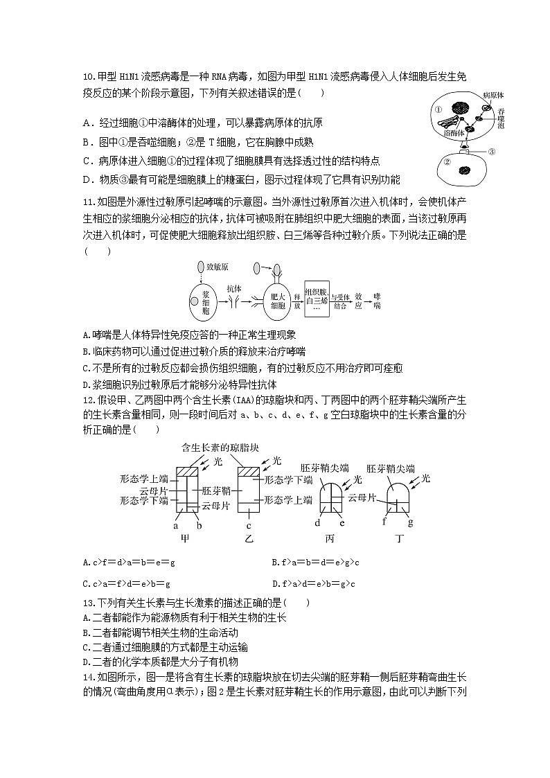 2021-2022学年陕西省西安市长安区第一中学高二上学期暑期学情检测生物试题含答案第3页
