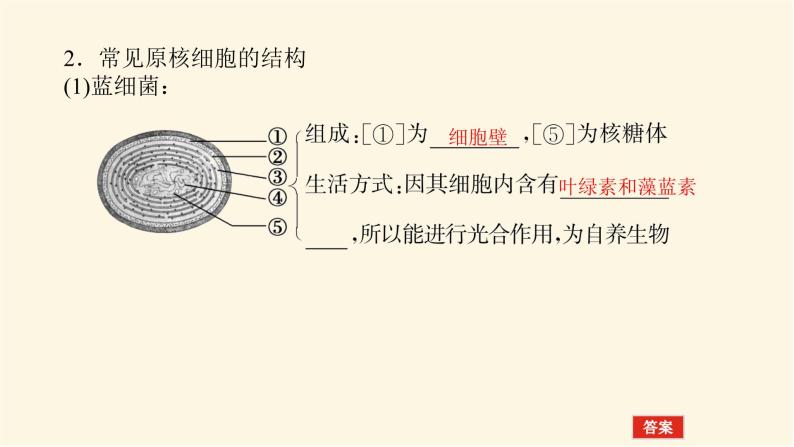 人教版高中生物学必修一第1章走近细胞导学案+课件06