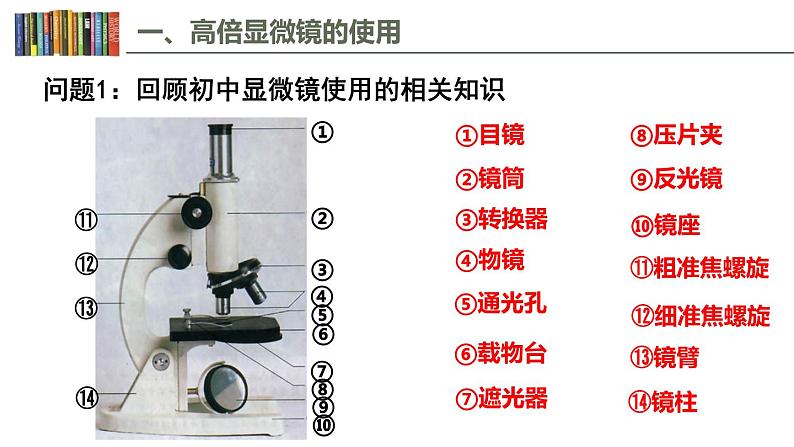 1.2 细胞的多样性和统一性 课件03