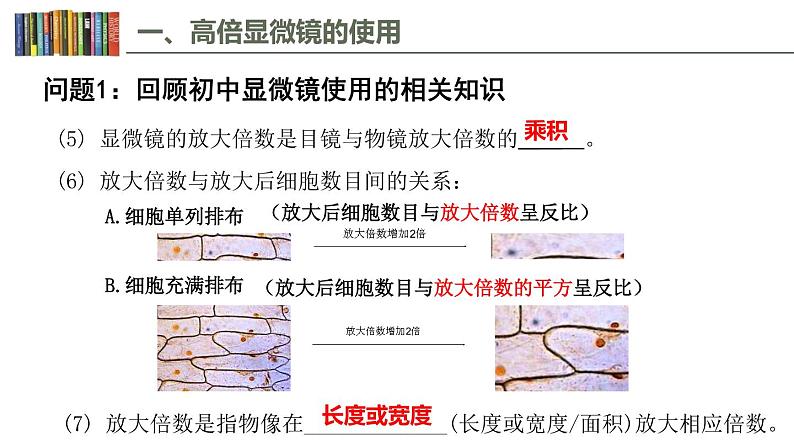 1.2 细胞的多样性和统一性 课件05