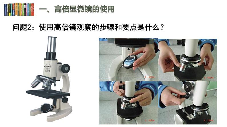1.2 细胞的多样性和统一性 课件06